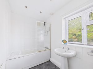 Photo 6- click for photo gallery